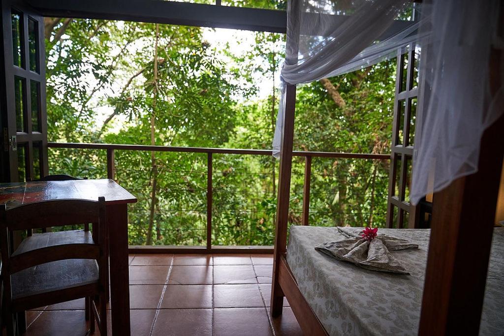 Luz En El Cielo Eco-B&B/Hostel Montezuma Extérieur photo