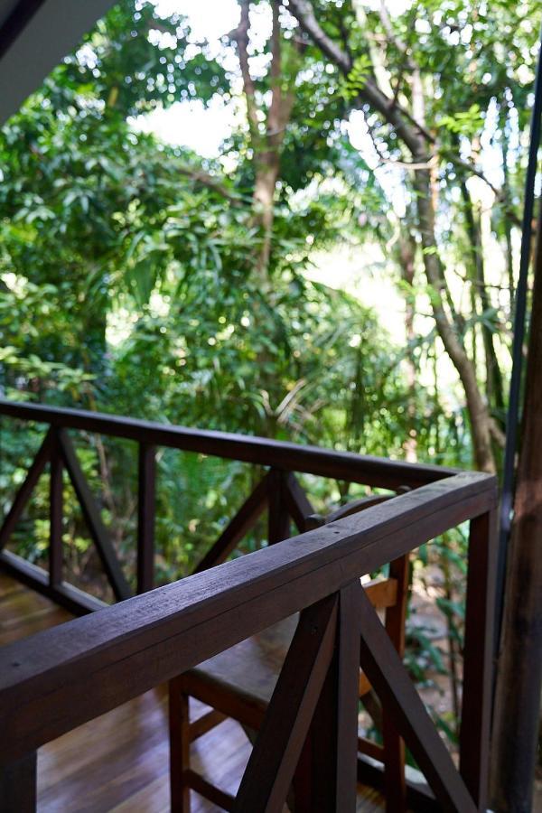 Luz En El Cielo Eco-B&B/Hostel Montezuma Extérieur photo