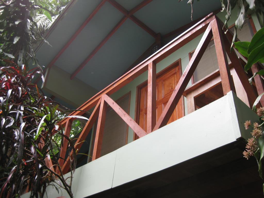 Luz En El Cielo Eco-B&B/Hostel Montezuma Chambre photo